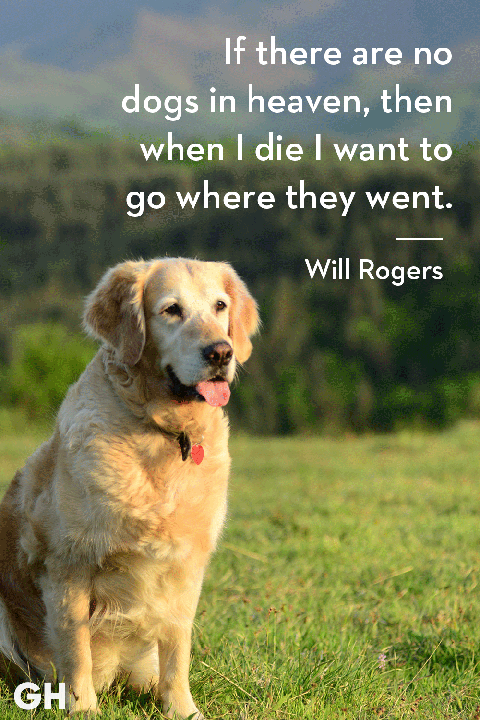 ghk-dog-quotes-will-rogers-1543942198.png