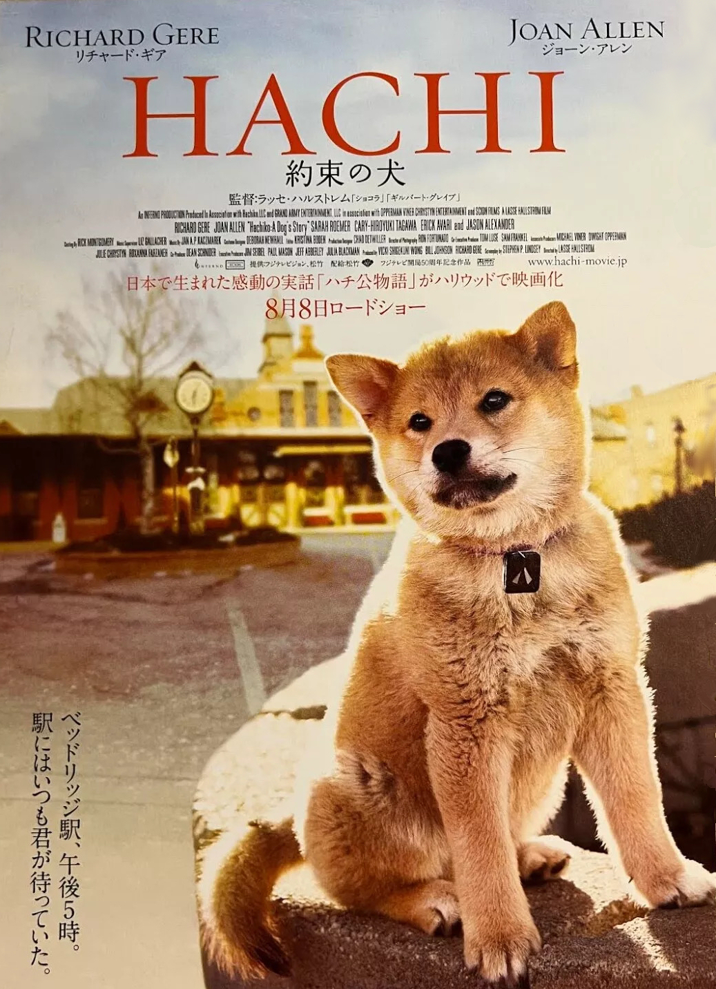 Hachi-A-dogs-tail.jpg